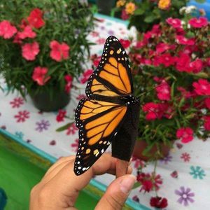 Meet your Posher, Maryann